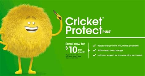 About Cricket myPhotoVault is just one of the premium benefits that comes with Cricket Protect Plus and Cricket 60 Unlimited More Rate Plan. . Cricket protect plus